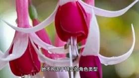 &quot;花學(xué)&quot;新視角：周雨彤的獨(dú)特綻放