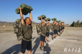 陵水南灣猴島門票（陵水南灣猴島門票免票）