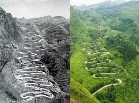 巨峰葡萄品種介紹（巨峰葡萄的種植方法和技術(shù)）