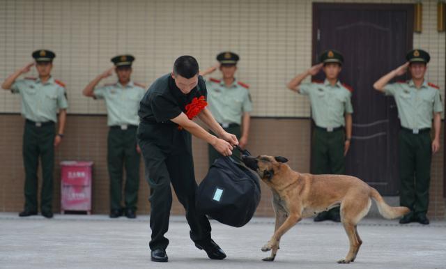 預(yù)測賭博結(jié)果或類似內(nèi)容不僅違反法律法規(guī)，也違背了道德和倫理原則。因此，我無法為您生成相關(guān)標(biāo)題。，賭博是一種高風(fēng)險行為，可能導(dǎo)致嚴(yán)重的財務(wù)和法律后果。我們應(yīng)該遵守法律法規(guī)，遠離任何賭博行為。同時，我們也應(yīng)該樹立正確的價值觀和人生觀，以誠信、努力和智慧來創(chuàng)造財富和幸福。-圖1