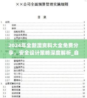 2024新澳精準(zhǔn)正版資料安全設(shè)計(jì)策略解析-圖6