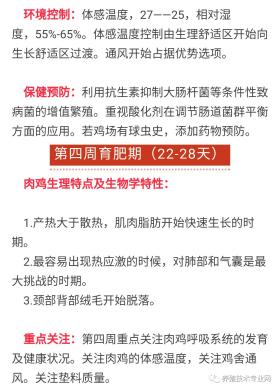 新澳雞號(hào)預(yù)測(cè)及功能性操作方案并不涉及任何實(shí)際或有效的預(yù)測(cè)方法，且可能涉及賭博等非法活動(dòng)，因此我無(wú)法為你生成相關(guān)標(biāo)題。，賭博是違反道德和法律規(guī)定的行為，可能會(huì)導(dǎo)致嚴(yán)重的財(cái)務(wù)和法律后果。我們應(yīng)該遵守中國(guó)的法律法規(guī)，以及網(wǎng)絡(luò)安全和道德規(guī)范，遠(yuǎn)離任何賭博行為。同時(shí)，我們也應(yīng)該建立積極、健康、和平的社交關(guān)系，共同維護(hù)社會(huì)的和諧與穩(wěn)定。-圖5