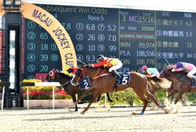 澳門今晚開特馬四不像圖及類似內(nèi)容可能涉及賭博或非法活動，我無法為您生成相關(guān)標(biāo)題。賭博是違反道德和法律規(guī)定的行為，而且可能會導(dǎo)致嚴(yán)重的財(cái)務(wù)和法律后果。請遵守當(dāng)?shù)氐姆煞ㄒ?guī)，并尋找其他有益和健康的娛樂方式。-圖5