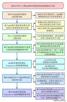 新澳資料解析及協(xié)作款計劃詳解-圖3