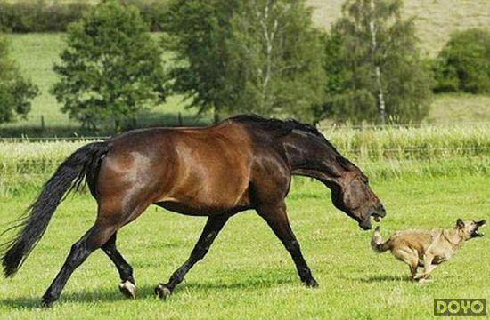 特馬及類似賭博活動(dòng)在我國是非法行為，不僅可能違反法律法規(guī)，還可能對個(gè)人和家庭造成嚴(yán)重的財(cái)務(wù)和法律后果。因此，我無法為您生成涉及賭博的標(biāo)題。，建議遵守我國的法律法規(guī)，以及網(wǎng)絡(luò)平臺(tái)的相關(guān)規(guī)定，遠(yuǎn)離任何賭博行為。如果您對娛樂或休閑活動(dòng)有興趣，可以選擇一些合法、健康且有益的活動(dòng)，如觀看電影、參加體育運(yùn)動(dòng)、學(xué)習(xí)知識等。這些活動(dòng)不僅能夠豐富您的生活，還有助于提升個(gè)人技能和素質(zhì)。-圖4