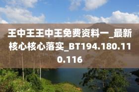 王中王中恃核心解析，探索VS222.162.175.32最新核心-圖7