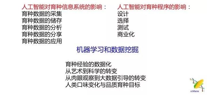 2004澳門資料大全免費可能涉及賭博或非法內(nèi)容，在中國，賭博是違法的，并且可能會導致嚴重的財務和法律后果。因此，我無法為您生成相關標題。，同時，我也要提醒您，網(wǎng)絡賭博存在很高的風險，不僅可能違反法律法規(guī)，還可能對個人和家庭造成巨大的傷害。我們應該遵守法律法規(guī)，遠離任何形式的賭博行為。如果您對澳門或其他地方的文化、歷史或旅游景點感興趣，可以通過正規(guī)渠道獲取相關信息，以豐富自己的知識和視野。-圖4