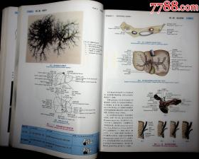 免費(fèi)資料分享，024新奧正版資料全面解析-圖8