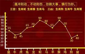 揭秘7777788888一肖一嗎，定義解釋與資料準(zhǔn)確性探討-圖6