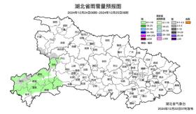 武漢迎初雪，最低氣溫降至-2℃！-圖2