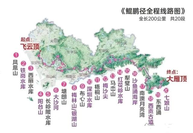 深圳攝影勝地，水靈靈的大片輕松出爐！-圖18