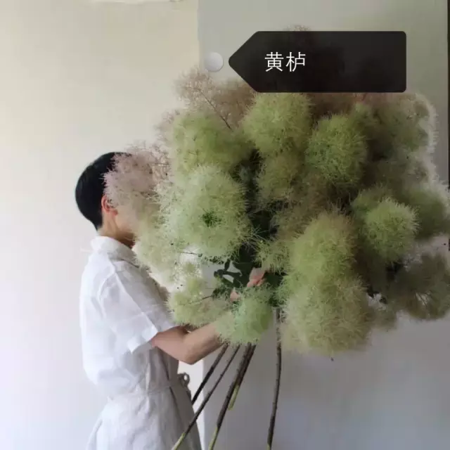 150種鮮花圖譜大全，挑戰(zhàn)你的識花能力！-圖1