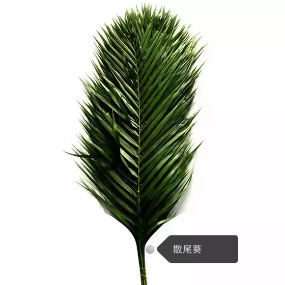 150種鮮花圖譜大全，挑戰(zhàn)你的識花能力！-圖68