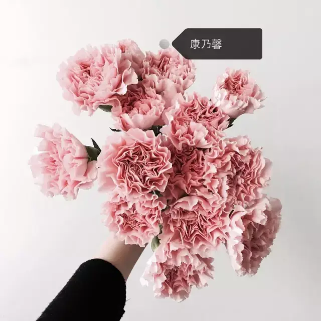 150種鮮花圖譜大全，挑戰(zhàn)你的識花能力！-圖131